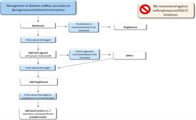 Practical therapeutic approach in the management of diabetes mellitus secondary to Cushing’s syndrome, acromegaly and neuroendocrine tumours